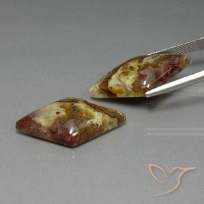 Gemme di Diaspro Multicolore naturale da 36.45 ct, Taglio a fantasia, Opaco
