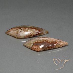 Gemme di Diaspro Multicolore naturale da 36.29 ct, Taglio a fantasia, Opaco