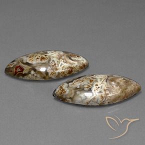 Gemme di Diaspro Multicolore naturale da 25.56 ct, Taglio marquise, Opaco
