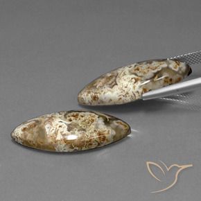 Gemme di Diaspro Multicolore naturale da 25.56 ct, Taglio marquise, Opaco