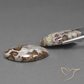 Gemme di Diaspro Multicolore naturale da 24.92 ct, Taglio marquise, Opaco