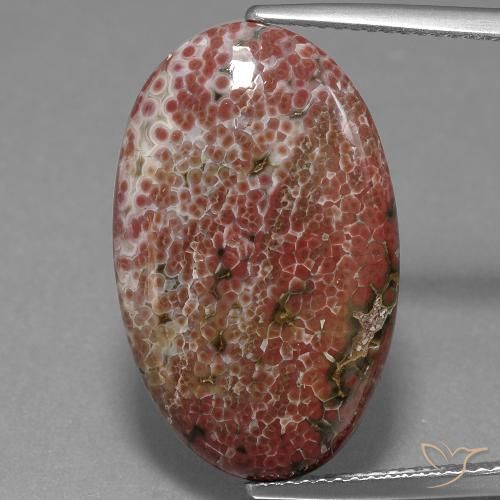 11.71ct Naturale Multicolore Diaspro, Ovale, Opaco