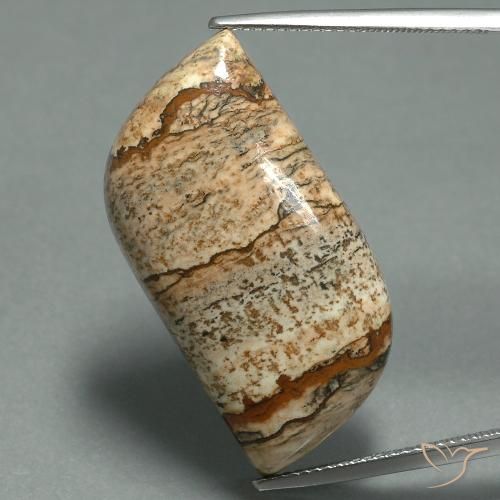 27.45ct Naturale Multicolore Diaspro, Taglio a fantasia, Opaco
