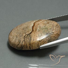 Diaspro Multicolore naturale da 30.17 ct, Ovale, Opaco