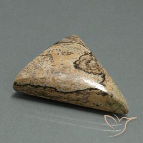 Diaspro Multicolore naturale da 24.08 ct, Taglio trillion, Opaco