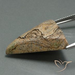 Diaspro Multicolore naturale da 24.08 ct, Taglio trillion, Opaco