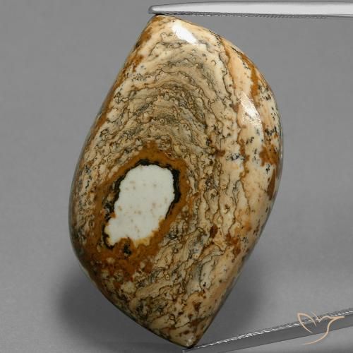 47.70ct Naturale Multicolore Diaspro, Taglio a fantasia, Opaco