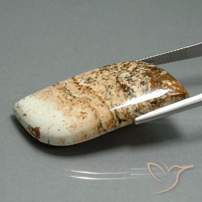 Diaspro Multicolore naturale da 42.59 ct, Taglio a fantasia, Opaco
