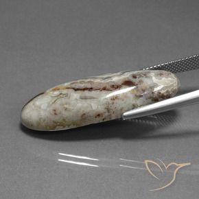 Diaspro Multicolore naturale da 23.27 ct, Ovale, Opaco