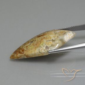 Diaspro Multicolore naturale da 14.89 ct, Taglio a fantasia, Opaco