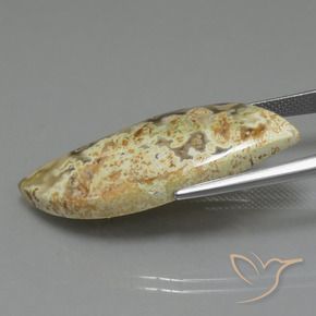 Diaspro Multicolore naturale da 18.71 ct, Taglio a fantasia, Opaco