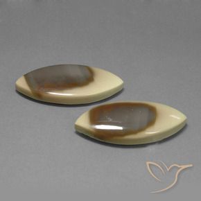 Gemme di Diaspro Multicolore naturale da 40.61 ct, Taglio marquise, Opaco