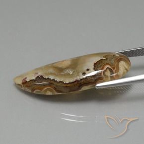Diaspro Multicolore naturale da 14.43 ct, Taglio a fantasia, Opaco