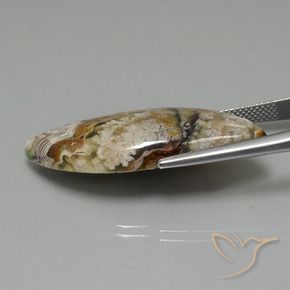 Diaspro Multicolore naturale da 22.13 ct, Taglio a fantasia, Opaco