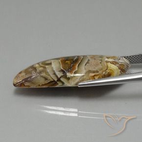 Diaspro Multicolore naturale da 22.13 ct, Taglio a fantasia, Opaco