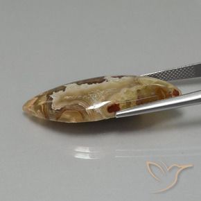 Diaspro Multicolore naturale da 17.84 ct, Taglio a fantasia, Opaco