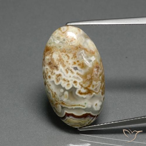 14.29ct Naturale Multicolore Diaspro, Ovale, Opaco