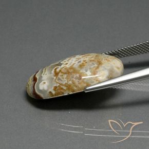 Diaspro Multicolore naturale da 14.29 ct, Ovale, Opaco