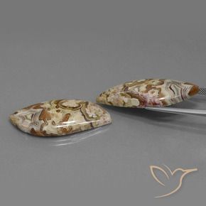 Gemme di Diaspro Multicolore naturale da 42.19 ct, Taglio a fantasia, Opaco