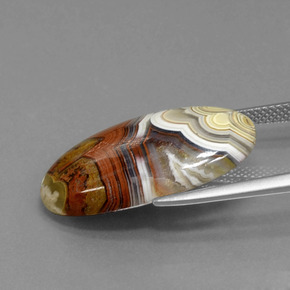 Diaspro Multicolore naturale da 13.94 ct, Taglio ovale, Opaco