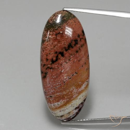 15.75ct Naturale Multicolore Diaspro, Ovale, Opaco