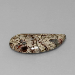 Diaspro Multicolore naturale da 8.64 ct, Forma fantasia, Opaco