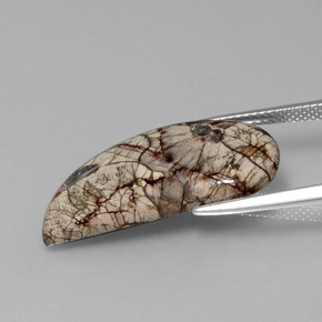 Diaspro Multicolore naturale da 8.64 ct, Forma fantasia, Opaco