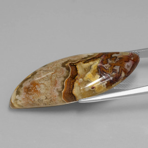 Diaspro Multicolore naturale da 24.71 ct, Forma fantasia, Opaco