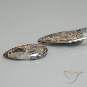 Gemme di Diaspro Multicolore naturale da 21.31 ct, Forma a pera, Opaco