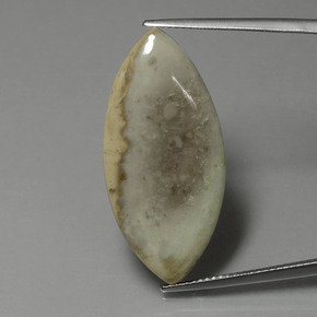 Diaspro Multicolore naturale da 15.89 ct, Taglio marquise, Opaco