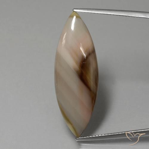 13.74ct Naturale Multicolore Diaspro, Taglio marquise, Opaco
