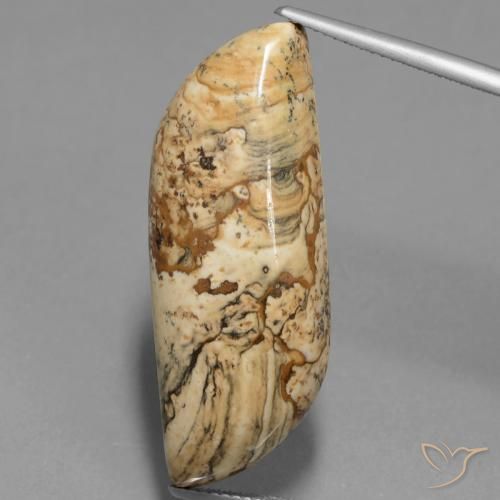 27.33ct Naturale Multicolore Diaspro, Taglio a fantasia, Opaco