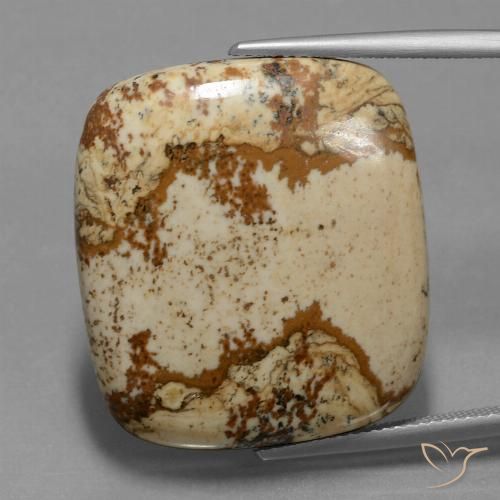 37.15ct Naturale Multicolore Diaspro, Cuscino, Opaco