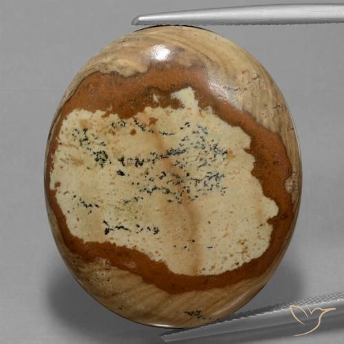 Diaspro Multicolore naturale da 44.93 ct, Ovale, Opaco