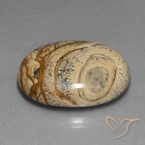 Diaspro Multicolore naturale da 48.37 ct, Ovale, Opaco