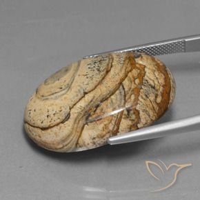 Diaspro Multicolore naturale da 48.37 ct, Ovale, Opaco