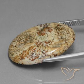 Diaspro Multicolore naturale da 37.65 ct, Ovale, Opaco