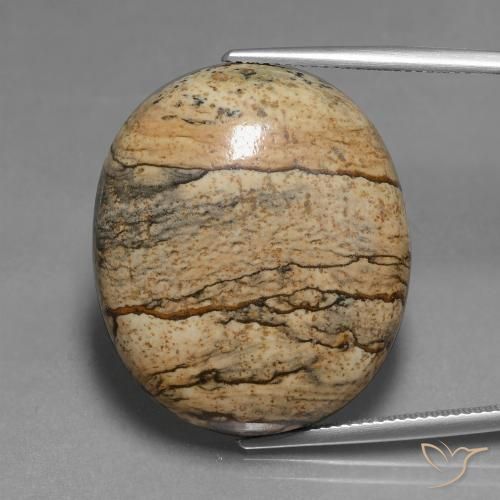 46.30ct Naturale Multicolore Diaspro, Ovale, Opaco