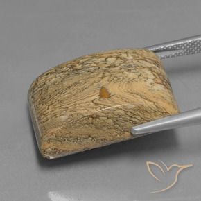 Diaspro Multicolore naturale da 28.04 ct, Taglio a baguette, Opaco