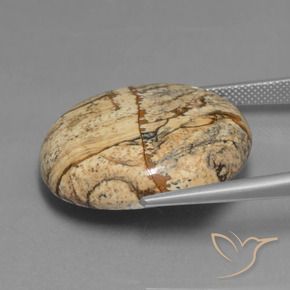 Diaspro Multicolore naturale da 37.82 ct, Ovale, Opaco