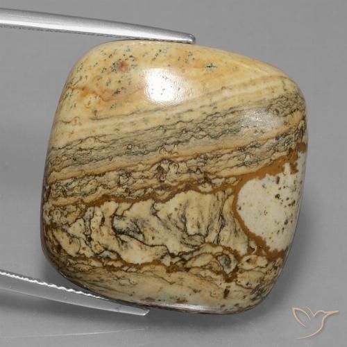 38.72ct Naturale Multicolore Diaspro, Cuscino, Opaco