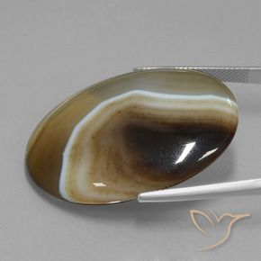 Diaspro Multicolore naturale da 52.11 ct, Ovale, Traslucido