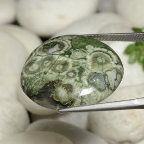 Diaspro naturale multicolore da 26,02 ct, taglio rotondo, opaco