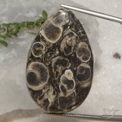 35.12ct Naturale Multicolore Diaspro, Forma a pera, Opaco