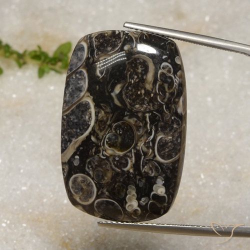 33.92ct Naturale Multicolore Diaspro, Cuscino, Opaco