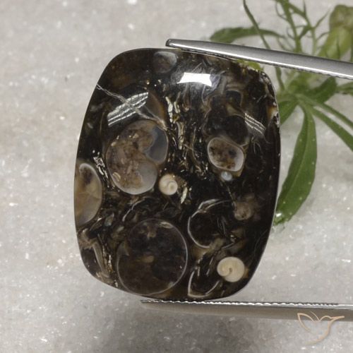 23.10ct Naturale Multicolore Diaspro, Cuscino, Opaco