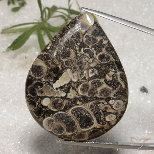 62.18ct Naturale Multicolore Diaspro, Forma a pera, Opaco