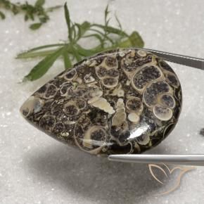 Diaspro Multicolore naturale da 62.18 ct, Forma a pera, Opaco