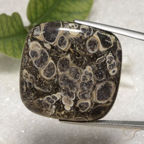 55.16ct Naturale Multicolore Diaspro, Cuscino, Opaco