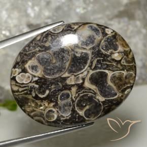 Diaspro Multicolore naturale da 37.90 ct, Ovale, Opaco